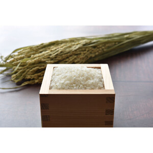 令和7年北海道産 きらら397 10kg（5kg×2袋）【旭川市産】_05310