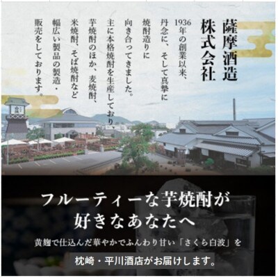 【毎月定期便】薩摩酒造の定番の焼酎【さくら白波】1800ml×2本セット! DD0-0023全3回【配送不可地域：離島】