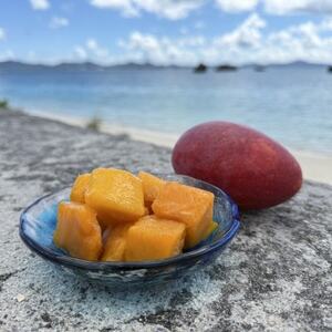 今帰仁産 山城フルーツ園の冷凍アップルマンゴー 600g(300g×2パック)【配送不可地域：離島】【1662749】