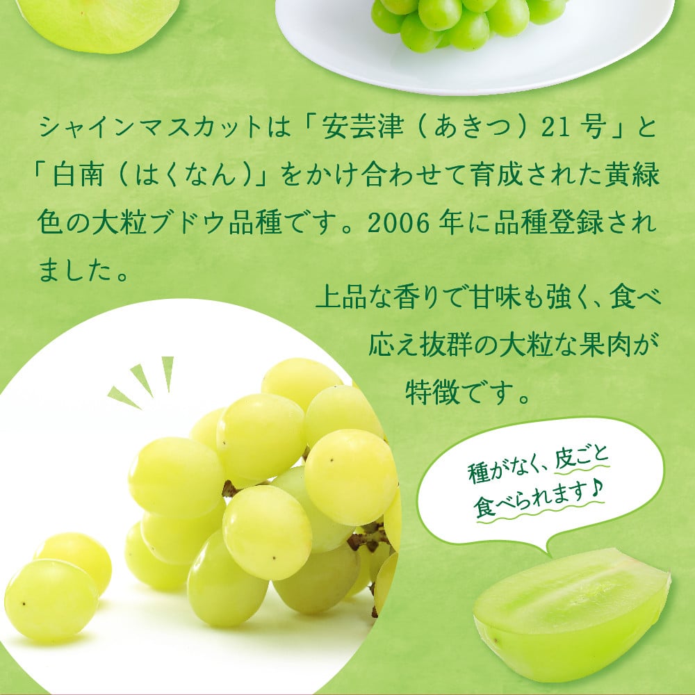 写真はイメージです