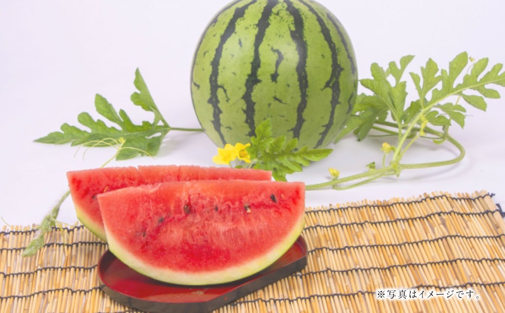 まるで火の国くまもとの太陽のような大玉スイカ1玉（熊本県産）