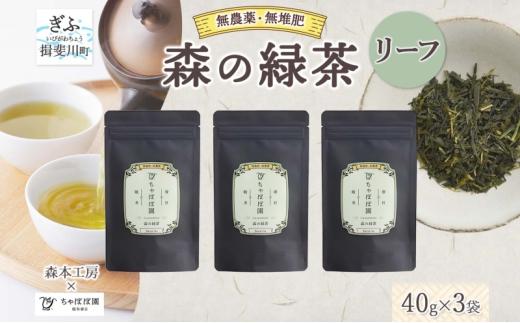 [№5568-0444]森本工房 森の緑茶 リーフ 40g 3袋 お茶 茶 緑茶 日本茶 茶葉 煎茶 国産 日本産 岐阜県産 香り豊か うまみ 香り 急須 ホット アイス すっきり 甘み 苦味 お好み 一番茶 ちゃぼぼ園 日本のマチュピチュ お取り寄せ 送料無料 岐阜県 揖斐川市