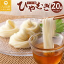 【ふるさと納税】 麺 冷麦 両切 たっぷり セット 20袋 40食 送料無料 y12-169