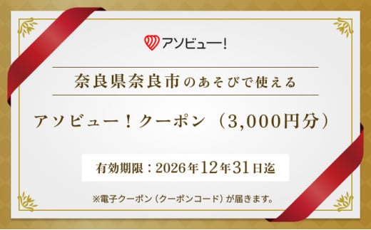 【奈良市】アソビュー！ふるさと納税クーポン（3,000円分）　10-071