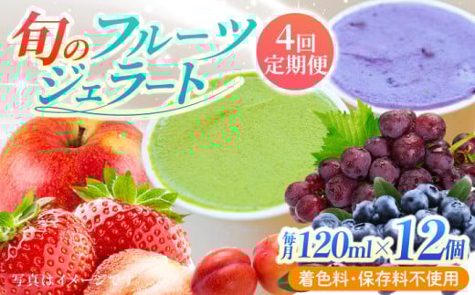 【年4回定期便】果樹園が作る 素材の味を楽しめる 旬のジェラート 120ml×12個セット【ソルベッチdoうきは】着色料不使用 ノンホモ牛乳使用 ジェラート アイス 旬 スイーツ 詰め合わせ セット シャーベット ミルク フルーツ デザート 定期便