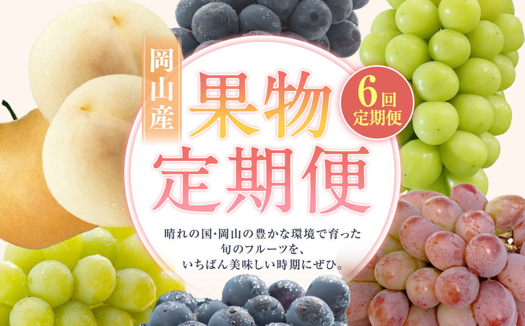 
                  【6回定期便】 白桃 マスカットオブアレキサンドリア  桃太郎ぶどう ニューピオーネ 晴王 紫苑 あたご梨 【2026年7月上旬より順次発送開始】 桃 もも 葡萄 ブドウ ぶどう なし フルーツ 果物 ギフト 国産 岡山県産
                