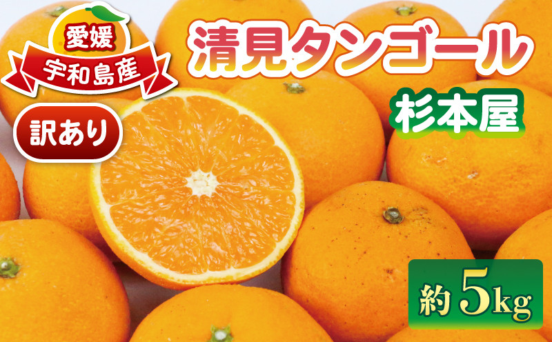 
                  清見 訳あり 清見タンゴール 5kg 杉本屋 わけあり タンゴール オレンジ きよみ 清見オレンジ 清見みかん 果物 くだもの フルーツ 先行予約 柑橘 蜜柑 みかん mikan ミカン デザート 愛媛みかん  産地直送 農家直送 数量限定 国産 愛媛 宇和島 B010-143011
                