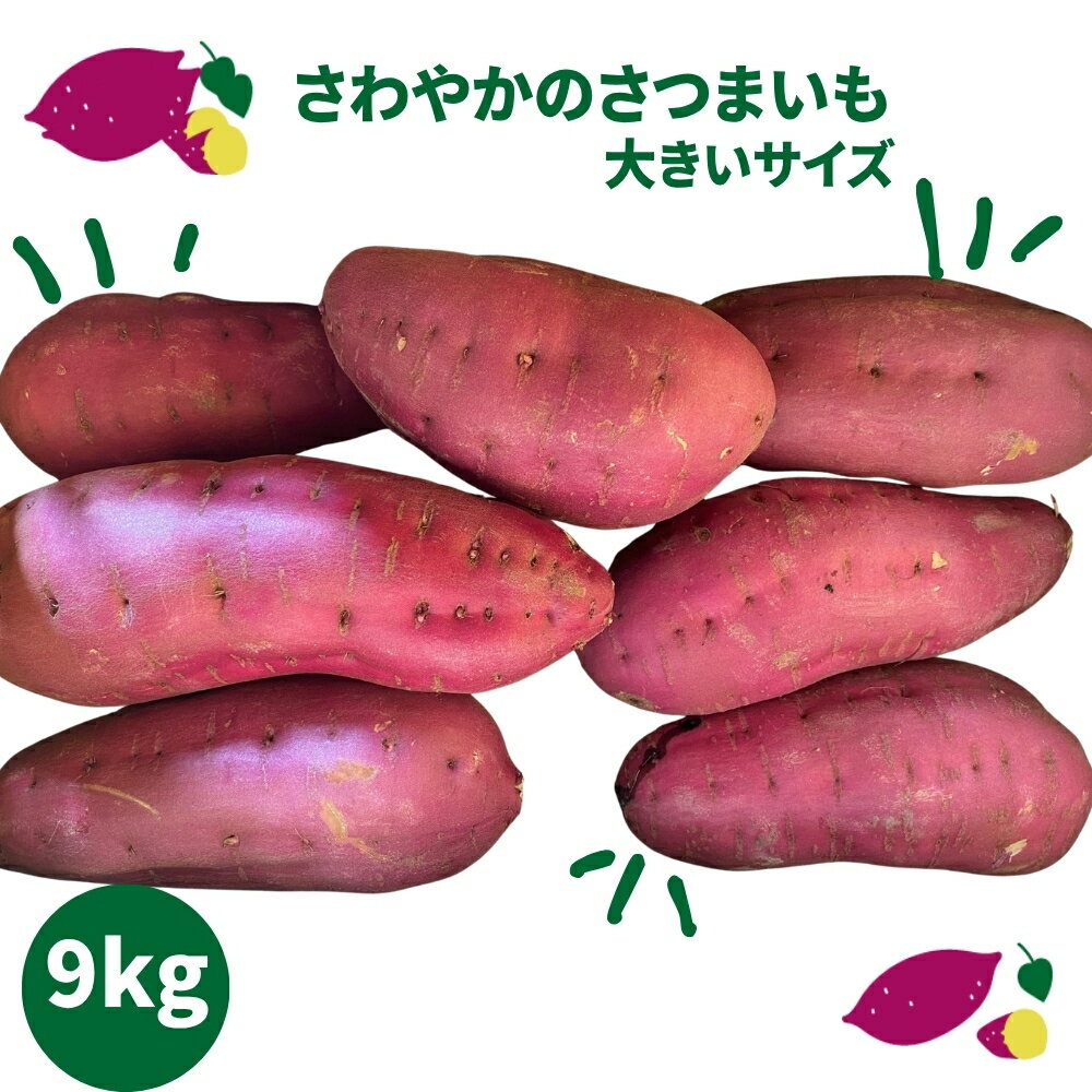 【ふるさと納税】さわやかのサツマイモ 大きいサイズ 9kg ＜ 徳島さわやかファーム ＞ ｜ さつまいも ねっとり 甘い 熟成 国産 産地直送 スイーツ 焼き芋 焼芋 焼きいも おやつ 天ぷら 干し芋