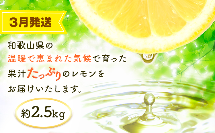 【定期】紀州和歌山産 旬のフルーツセット(あんぽ柿 レモン 桃) 株式会社魚鶴商店《1月中旬-7月末頃出荷》和歌山県 日高川町 柿 あんぽ柿 レモン 桃 もも フルーツ 定期 定期便 フルーツ定期便 
