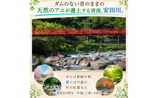 安田川アユおどる清流キャンプ場 バイクフリーサイト 電源なし 電源無 テント 宿泊 1泊 キャンプ 安田川 釣り 遊具 川遊び バーベキュー 鮎 アユ BBQ 避暑 静か 川のせせらぎ 安田川 清流 