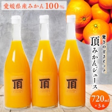 頂みかんジュース3本入り(720ml×3本)【C31-24】