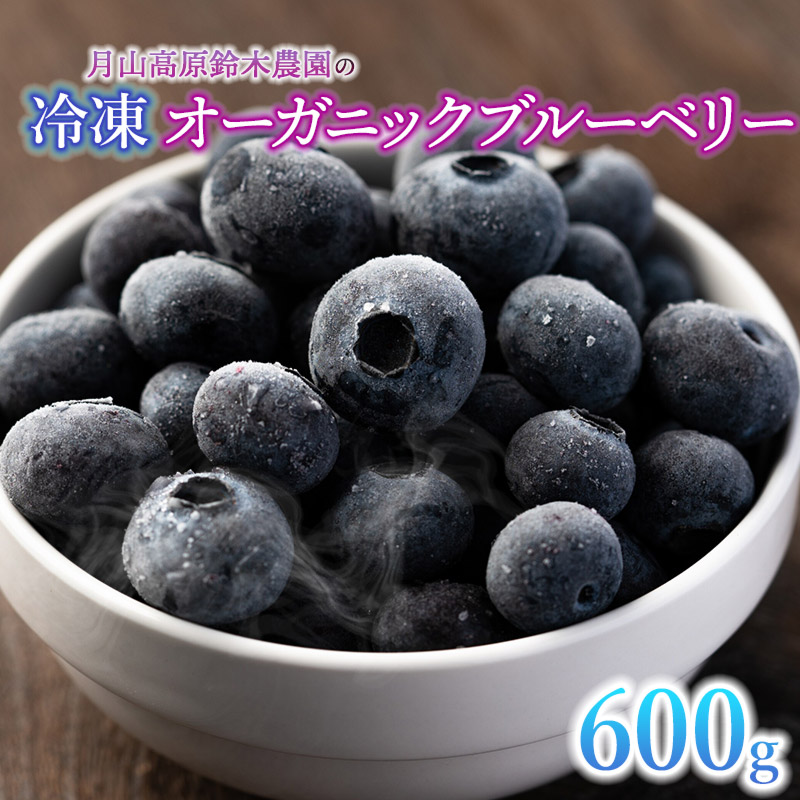 【令和7年産】【冷凍】月山高原のオーガニックブルーベリー(大粒・600g)　K-742