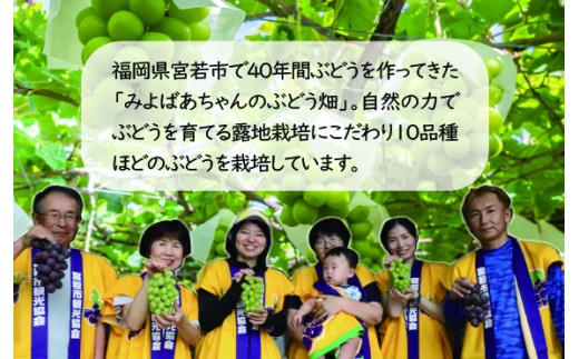 農薬は極力使用せず、また有機肥料などを使い、手間暇を惜しまず育てています。