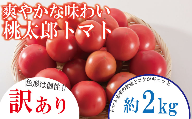 【訳あり】 【2026年1月発送】 トマト 2kg 桃太郎 先行予約  甘い 野菜 やさい 国産 産地直送 数量限定 旬 桃太郎トマト 生野菜 新鮮 ソース 調味料 ケチャップ サラダ 美容 新鮮 健康 お取り寄せ グルメ おすすめ 人気 徳島県 小松島市