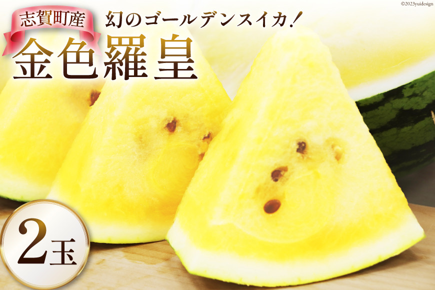 
            【期間限定】金色羅皇（黄色）【幻の ゴールデンスイカ】 2玉 [米吉農園 石川県 志賀町 BA4120]  スイカ すいか 西瓜 黄色スイカ 果物 フルーツ 野菜
          