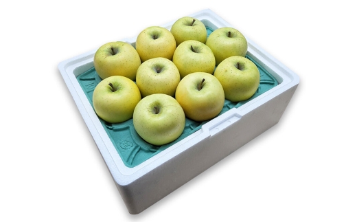 【27年1月発送】りんご シナノゴールド【良品】約10kg キタエアップル 先行受付 青森県 弘前市 果物 フルーツ 林檎 リンゴ くだもの ギフト 贈り物 青森県 弘前市 [先行予約 産地直送 アッ