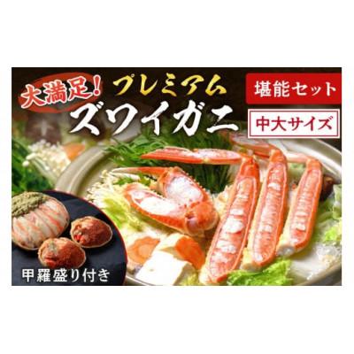 ふるさと納税 京丹後市 蟹の匠 魚政のプレミアムズワイガニ堪能セット 中大サイズ(2025年1月〜発送)