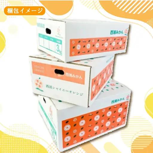【予約受付】 秀品 寿太郎 みかん 3kg ミカン 蜜柑 mikan