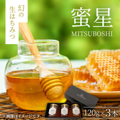 【ふるさと納税】【蜜星】幻の生はちみつ(120g×3本)【1683400】