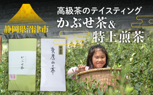 高級茶 テイスティング かぶせ茶 煎茶 お茶 静岡 沼津 茶葉 日本茶 ギフト プレゼント 贈答品 お土産 静岡茶 銘茶 セット 茶 飲み比べ
