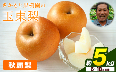 さかもと果樹園の玉東梨 秋麗梨 約5kg (6玉-18玉前後) 《8月中旬-8月下旬頃出荷》【日付指定・品種指定不可】 熊本県玉名郡玉東町 ｜なし フルーツ ナシ 果物 熊本県梨 玉東町梨