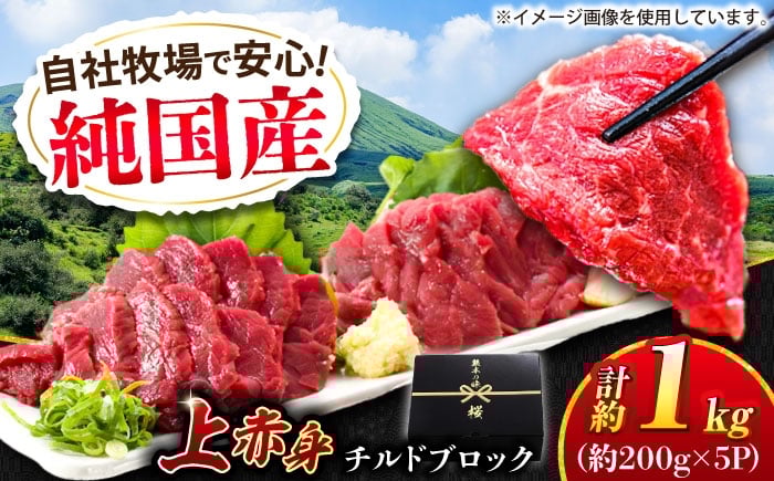 
                  『純国産』熊本の味 上赤身 馬刺し 計約1kg（約200g×5パック）ブロック チルド 冷蔵 【有限会社 九州食肉産業】 馬刺し 馬肉 桜肉 馬 うま ウマ ヘルシー 国産 新鮮 上赤身 赤身 上質 小分け セット 大容量 低カロリー 高タンパク 冷凍 生食 生肉 産地 部位 ギフト 贈答用 食品 合志 合志市 [AYCN036]
                