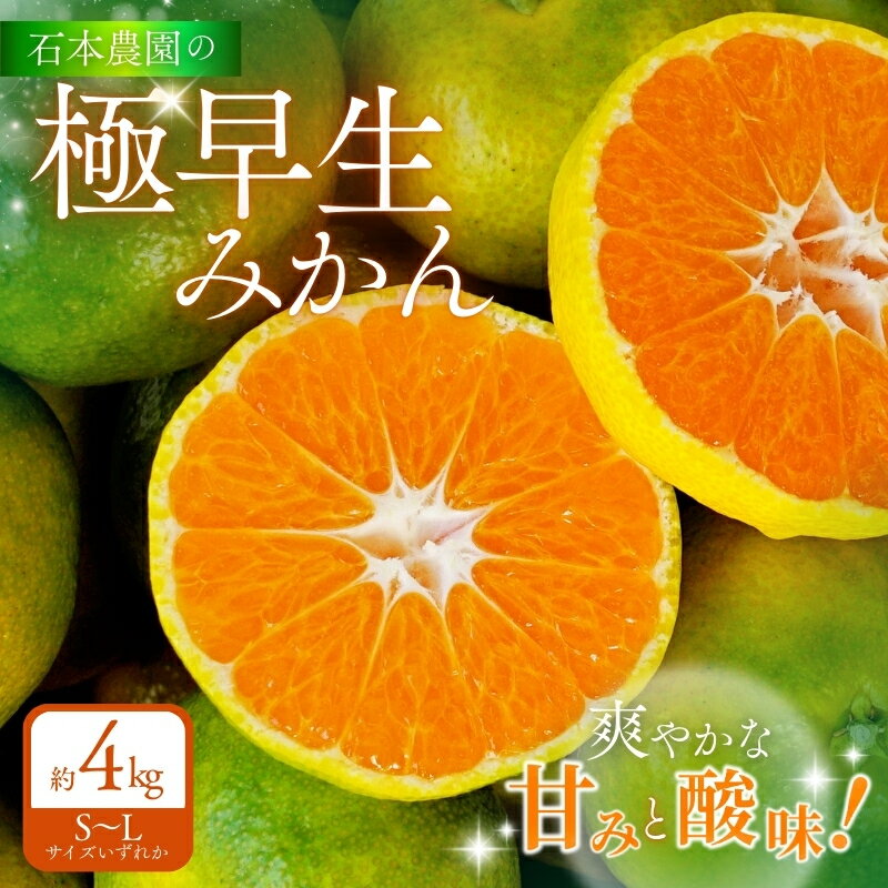 【ふるさと納税】石本農園の 極早生みかん S～Lサイズいずれか 約4kg 【2025年9月中旬から10下旬頃までに順次発送】 / 柑橘 みかん ミカン 蜜柑