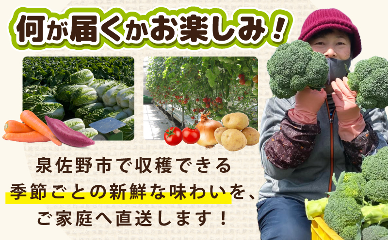 季節の野菜セット 2～7種類【国産 新鮮 おまかせ 詰め合わせ】 G3452