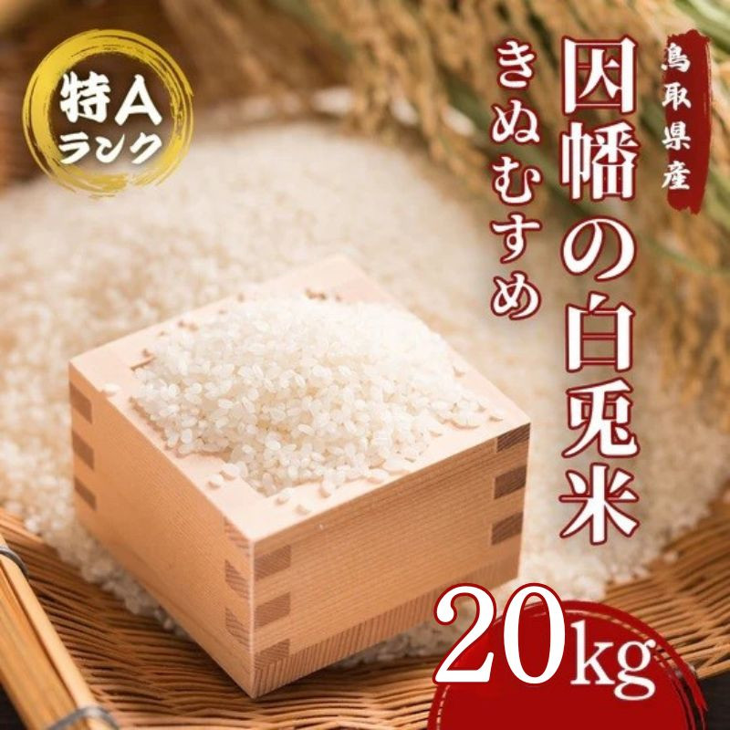 
            因幡の白兎米 きぬむすめ 令和7年度産 精米済 20kg（5kg×4袋）
          