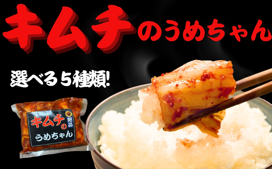 
            キムチ選べる5種類セット キムチのうめちゃん おいしいキムチ 本場キムチ おすすめキムチ 手作り 本場の味 コクうま 白菜 ニンニク ごはんのお供 ピリ辛 お米 ごはん ビール 酒 おつまみ 漬物 野菜 BBQ 焼肉 惣菜 キムチチャーハン キムチ鍋 発酵食品 韓国 奈良県 奈良市 なら 11-009
          