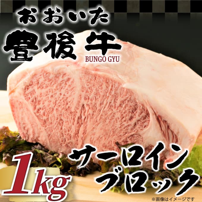 【ふるさと納税】 厳選部位 おおいた豊後牛サーロインブロック 1kg | 和牛 豊後牛 国産牛 ステーキ 大分県産 九州産 津久見市 国産