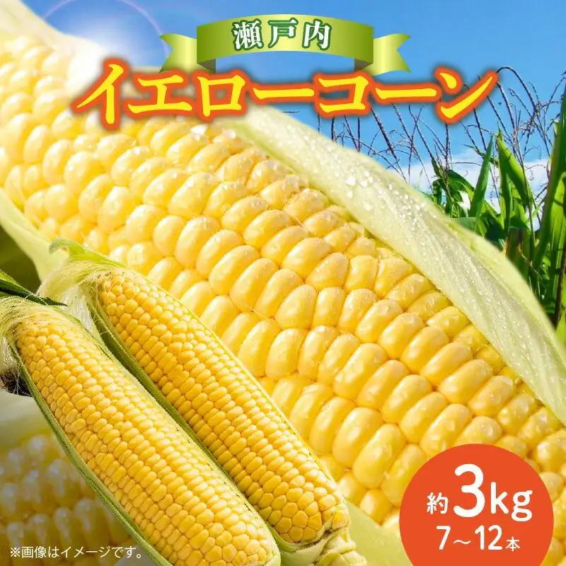 ＼寄附額改定／瀬戸内イエローコーン 約3kg【2026-6月上旬～2026-7月中旬配送】| コーン