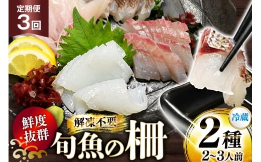 刺身 鮮魚 旬魚 の柵2種 セット （刺身1種& イカ 1種）（2〜3人前） 3回 定期便 [舘浦漁業 長崎県 平戸市 hr42bgy420057] おつまみ 柵 冷蔵 新鮮 海鮮 盛り合わせ 旬 切るだけ 真空パック