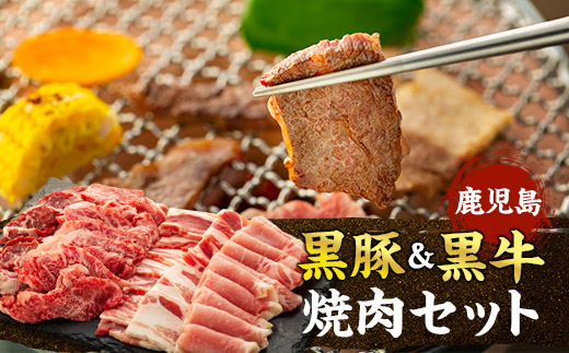 鹿児島黒豚・黒牛焼肉セット【H602】