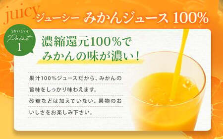 【3回定期便】 ジューシー みかんジュース 100％ （学給） 125ml×36本 みかん ミカン 蜜柑 ジュース オレンジジュース 飲料 紙パック 国産 熊本県