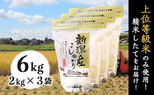 
            K61新潟県産コシヒカリ6kg（2kg×3袋）
          