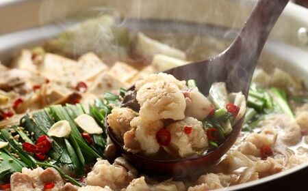 博多若杉牛もつ鍋8～10人前セット（醤油味）【株式会社Skyward】_HA1774