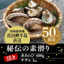 【ふるさと納税】【先行予約】【数量限定】佐田岬海士のあわび・さざえセットB【4/15～10/25の漁解禁日に合わせて発送】　※北海道・東北地方・沖縄・離島への配送不可　※2024年4月下旬～11月上旬頃に順次発送予定