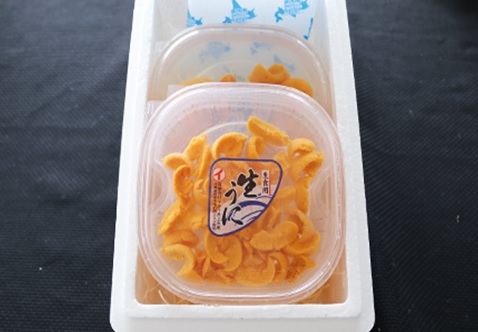 ＜12月10日決済分まで年内配送＞エゾバフンウニ塩水パック50～60g×3P D-53040