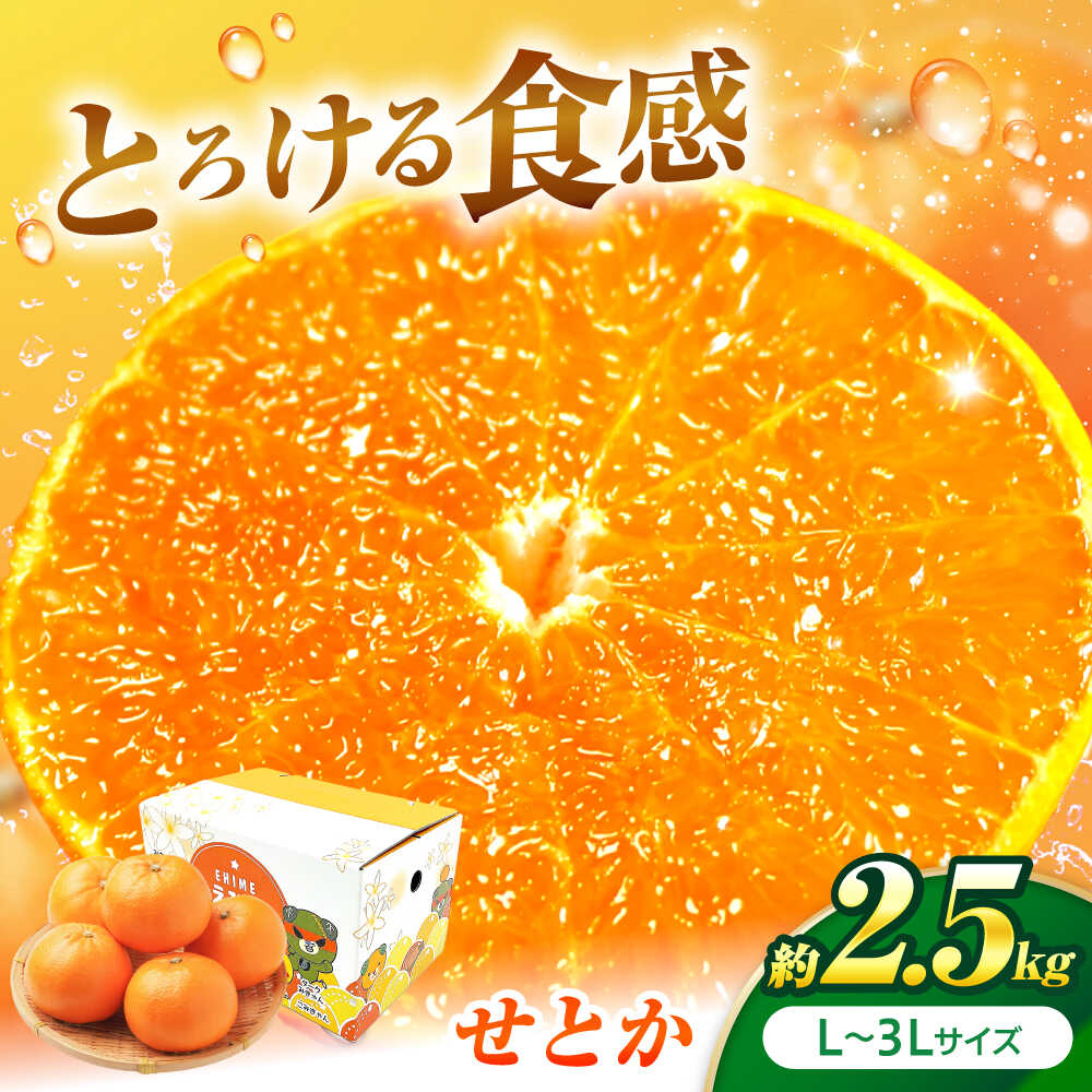 【ふるさと納税】せとか L-3Lサイズ 約2.5kg【2月中旬から3月中旬まで順次発送】 / フルーツ 果物 蜜柑 ミカン オレンジ 小玉 甘い 先行予約 約 3kg 愛媛 果汁 果実 フルーツギフト 果肉 柑橘 かんきつ 人気 おすすめ / 愛媛県砥部町/株式会社フジ・アグリフーズ[BJBI006]