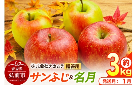 【27年1月発送】りんご サンふじ・名月【贈答用】約3kg（9～12玉程度）先行受付 青森県産 林檎 リンゴ 果物 くだもの フルーツ 青森県 弘前市 [先行予約 産地直送 ギフト 贈り物 アップル おいしい ふじ 名月 果実 美味 甘い]