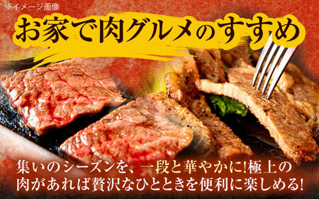 長崎和牛 ステーキ・焼肉セット 600g×2パック / 牛肉 ぎゅうにく 肉 和牛 国産牛 焼き肉 やきにく ステーキ すてーき&nbsp;/ 諫早市 / 西日本フード株式会社[AHAV008]