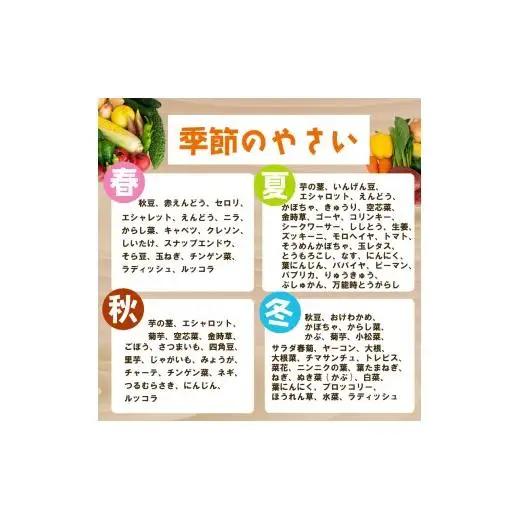 野菜詰め合わせ 定期便 7品~8品 ｜ 野菜詰め合わせ 野菜セット 野菜定期便 野菜定期便 野菜定期便 定期便 定期便 高知県 NPO22000