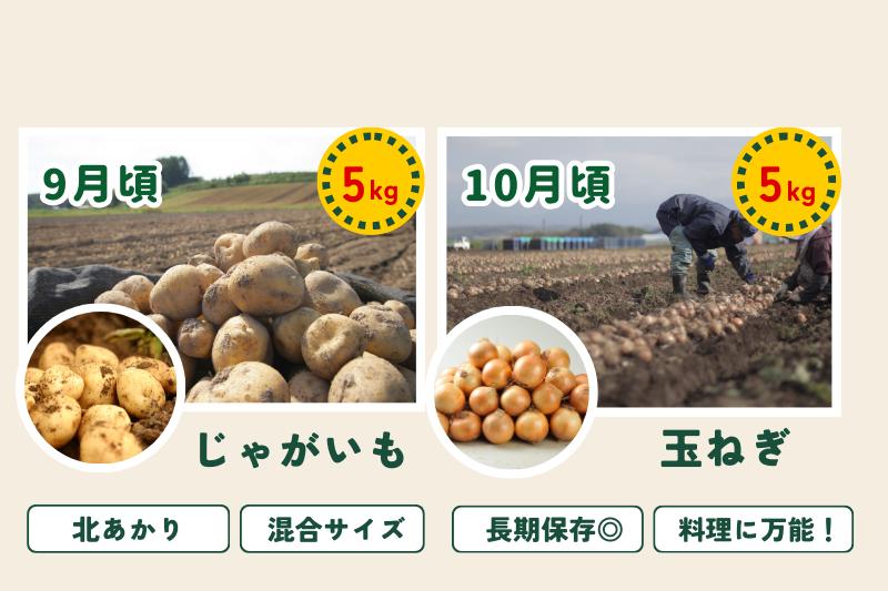 【令和８年産予約受付！】～美瑛の四季～ 野菜の定期便【白樺】4回便[036-46]