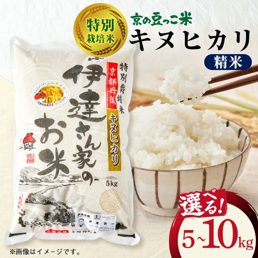 【ふるさと納税】特別栽培キヌヒカリ「京の豆っこ米」精米(5kg/10kg)【G1684174】