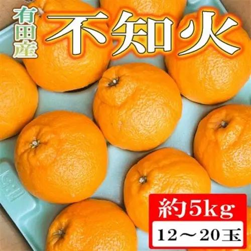 【濃厚春柑橘】有田産不知火約5kg(12玉～20玉おまかせ)　(日高町)【1221747】