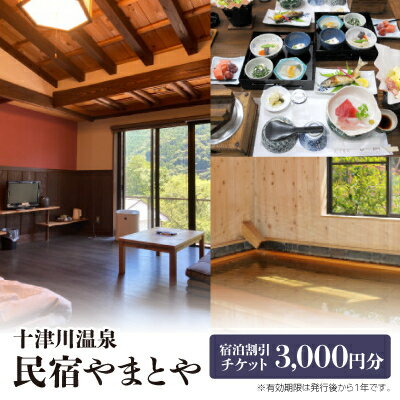 【ふるさと納税】十津川温泉民宿やまとや　宿泊割引チケット3,000円分【1532449】