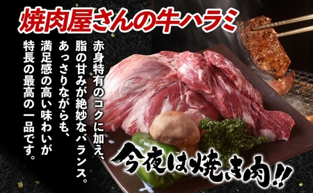 蔵のカルビ 牛ハラミ 3kg ハラミ 牛ハラミ肉 赤身 横隔膜 牛肉 肉 ビーフ 焼肉 BBQ バーベキュー 醤油ダレ 塩ダレ 味噌ダレ 選べる3種 冷凍 焼くだけ フライパン調理 一人暮らし お取り
