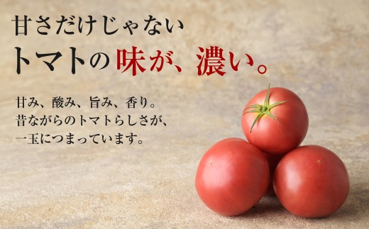 【先行予約】【限定30】男気トマト 1箱 11～12個入り | トマト とまと 野菜 リコピン 有機肥料 濃厚 完熟 低農薬栽培 無かん水栽培 凝縮 産地直送 農家直送 メディア掲載 話題 テレビ 青