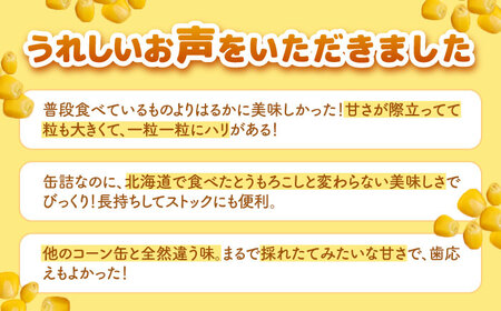 【全3回定期便】自然甘 ホールコーン 3缶【きもべつ観光協会】 缶詰 瓶詰 加工品 とうもろこし 北海道 常温配送 [AJAG036]